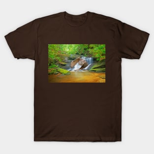 Horned Owl on the Prowl T-Shirt